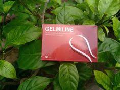 Gelmiline - ดีไหม - วิธีใช้ - review - คืออะไร